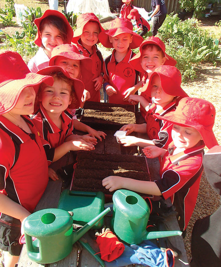 Nilma Primary School Kitchen Garden Gardivalia Festival of Gardens