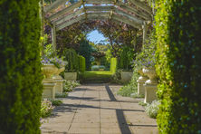 Country Farm Perennials