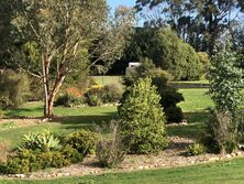 Dot+39s Garden