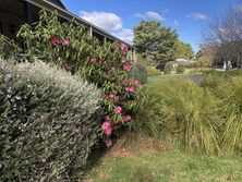 Dot+39s Garden
