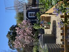 Fiona+39s Garden