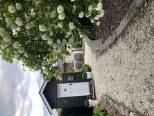 Fiona+39s Garden