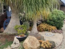 Loisand39 Garden