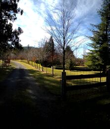 Meander