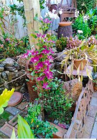 Rustic Charm