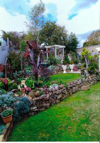 Rustic Charm
