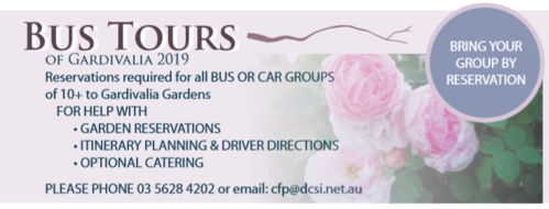 Bus Tours