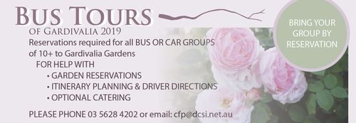 Bus Tours