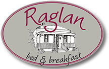 Raglan B+B