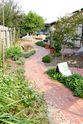 REstore Permaculture Garden