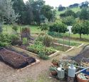 Lillico Food Garden