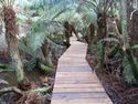 17 Wild Dog Winery Boardwalk
